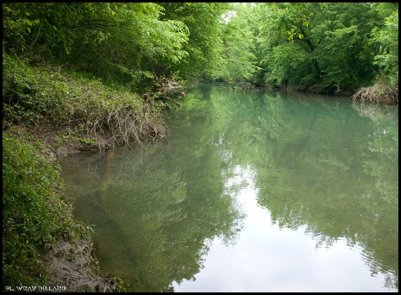 Bluewater Creek