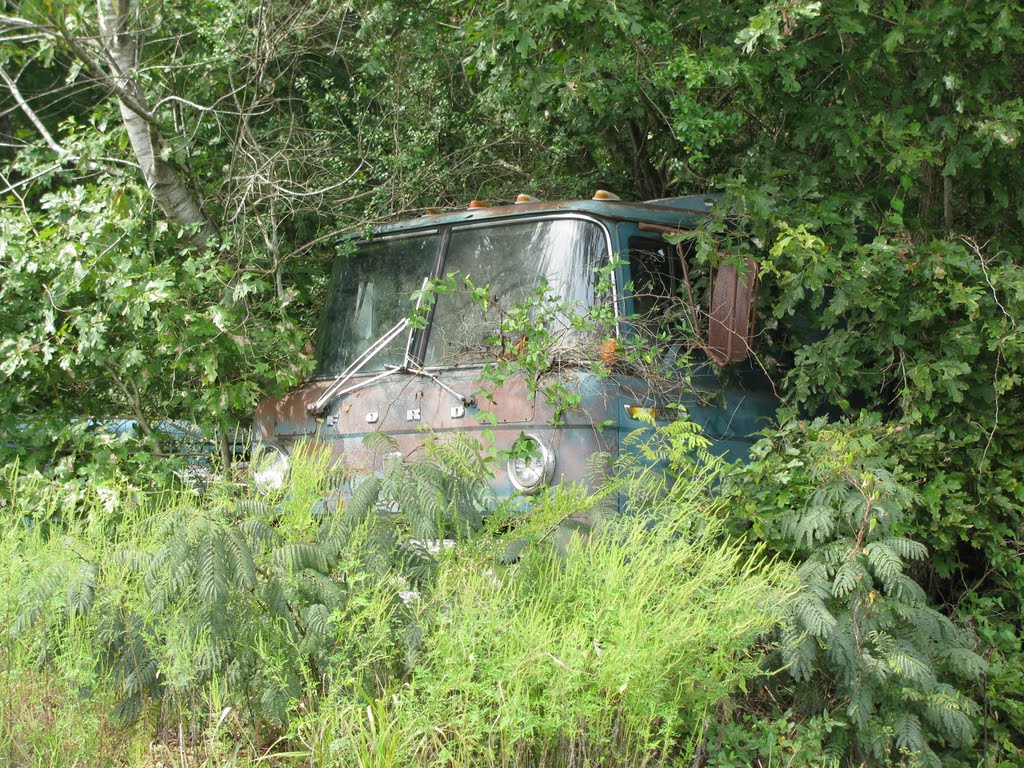 Old Ford Truck retired and basking in the heavenly bush