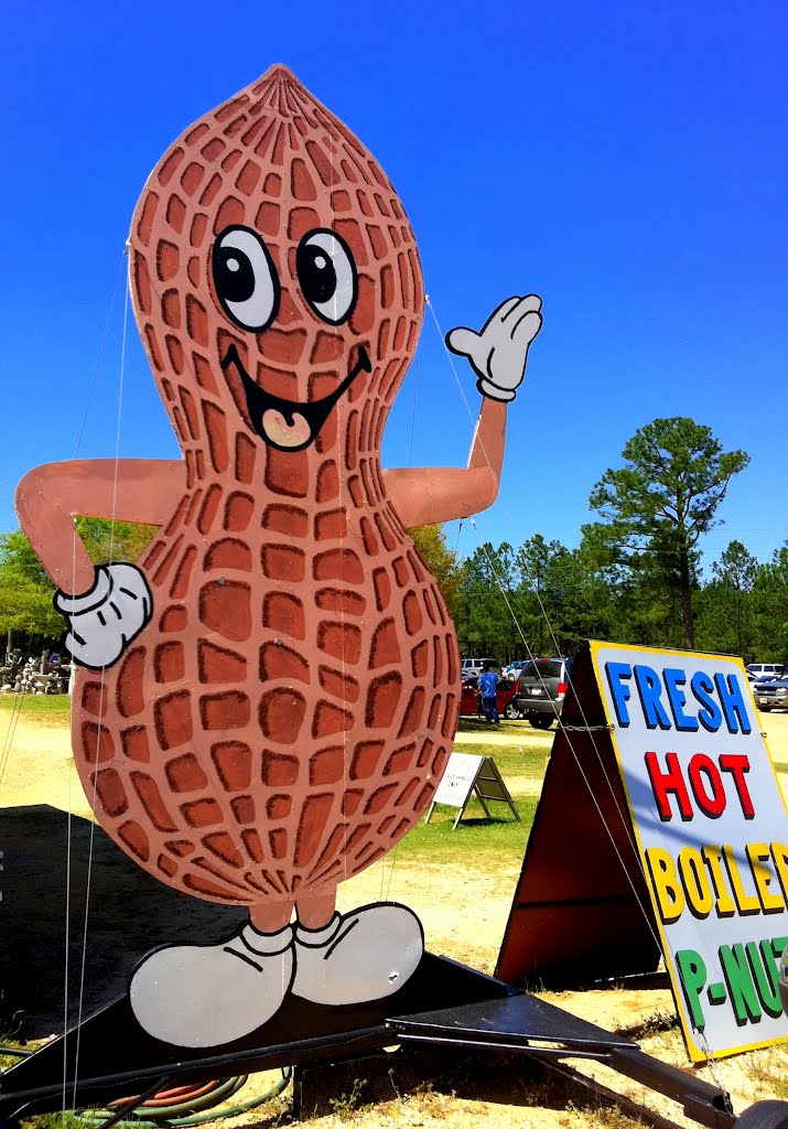 Fresh Hot Boiled Peanuts