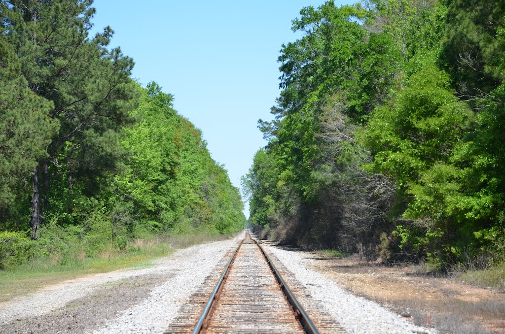 Bay Line Railroad