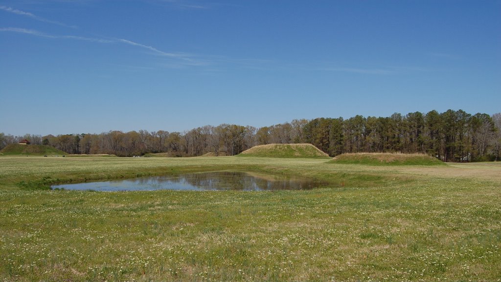 Moundville Archaeological Park
