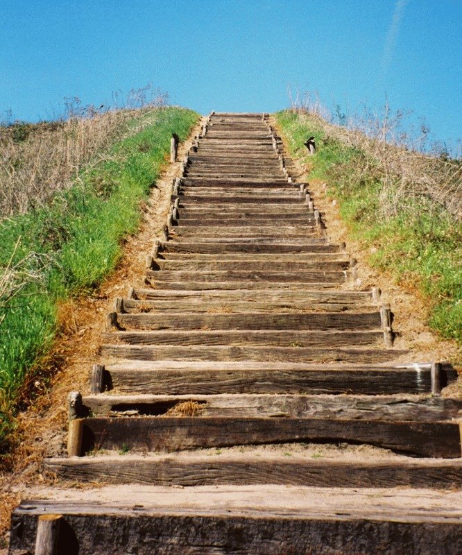 Mound B Stairs, Moundville, Alabama