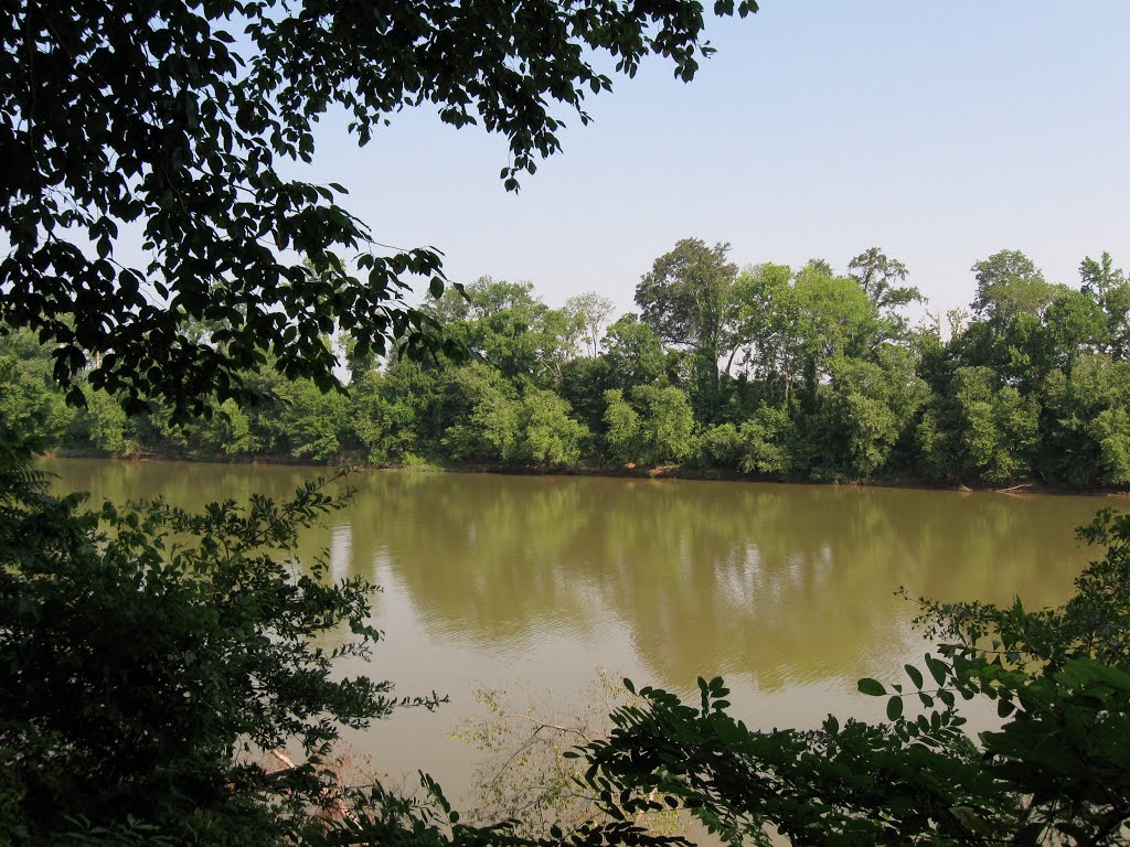 The Black Warrior