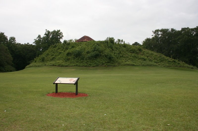 Mound B, the largest mound in the Moundville Archaeological Park. 7/6/2007
