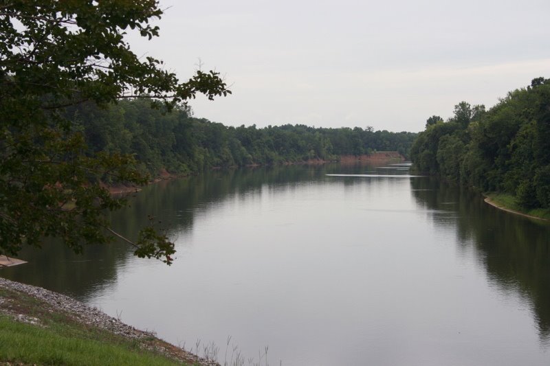The Black Warrior River, looking downstream. 7/6/2007