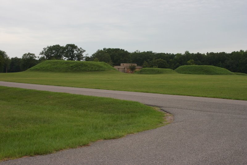 Mounds N, O, and P behind the museum. Moundville Archaeological Park. 7/6/2007