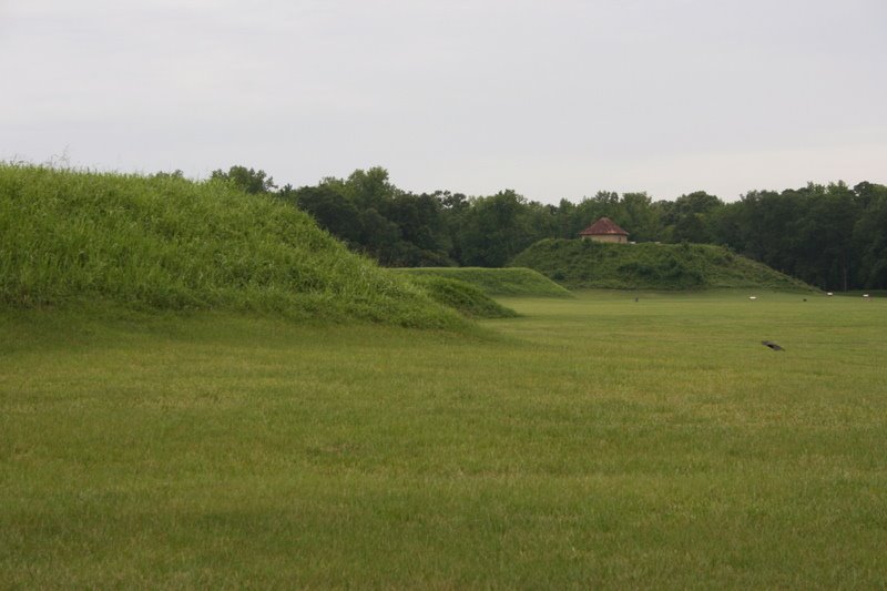 Moundville Archaeological Park. 7/6/2007