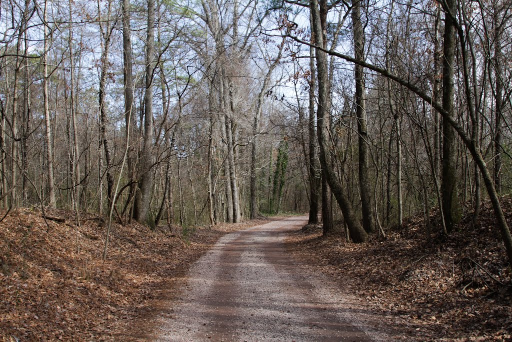 Red MT Park Trails
