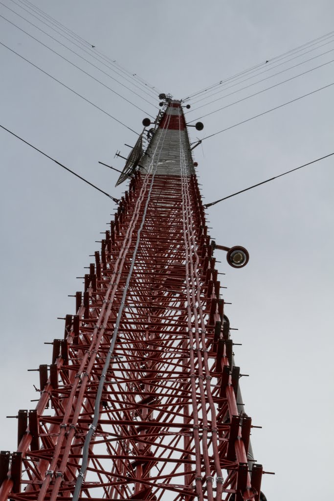 Tower Red Mt Park Trails