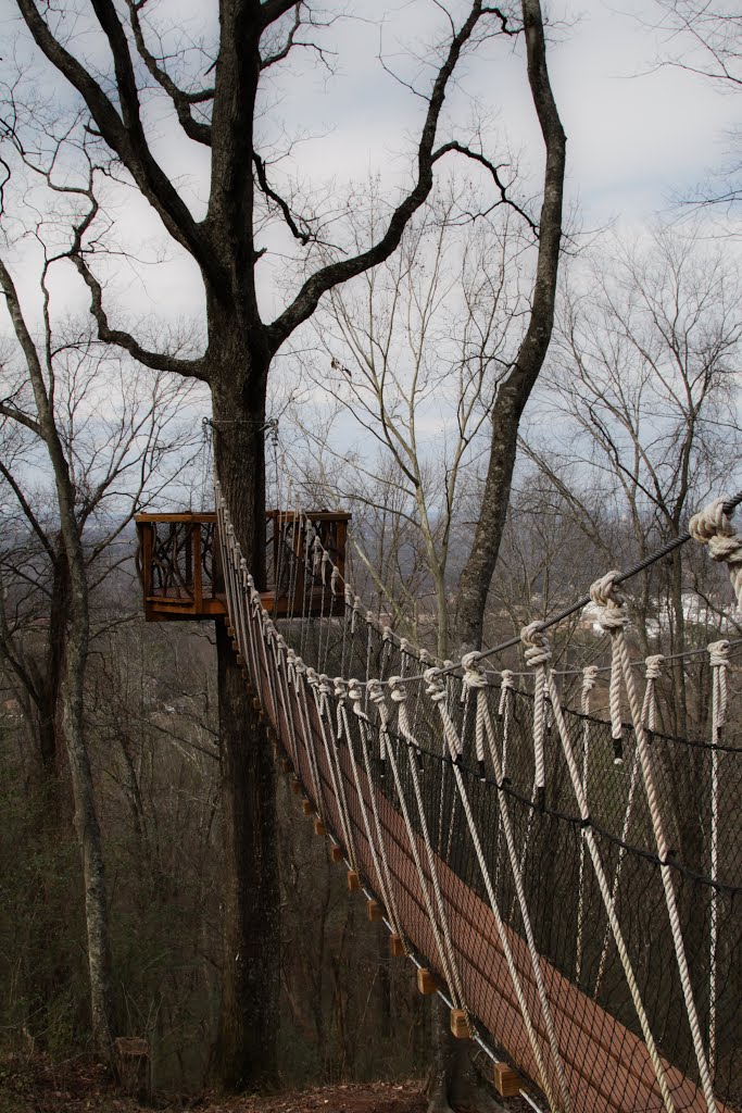 Skyhy Tree House