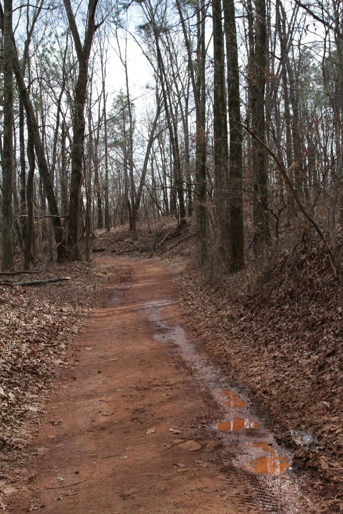 Red Mt Park Trails