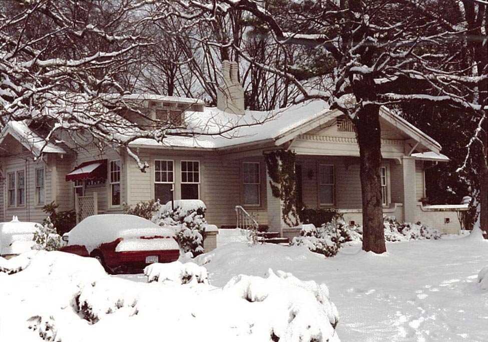 972 in Snow 1990s
