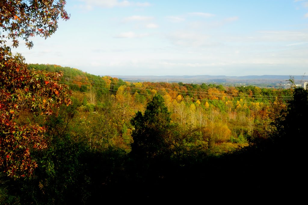 View from back deck, Fall 2010