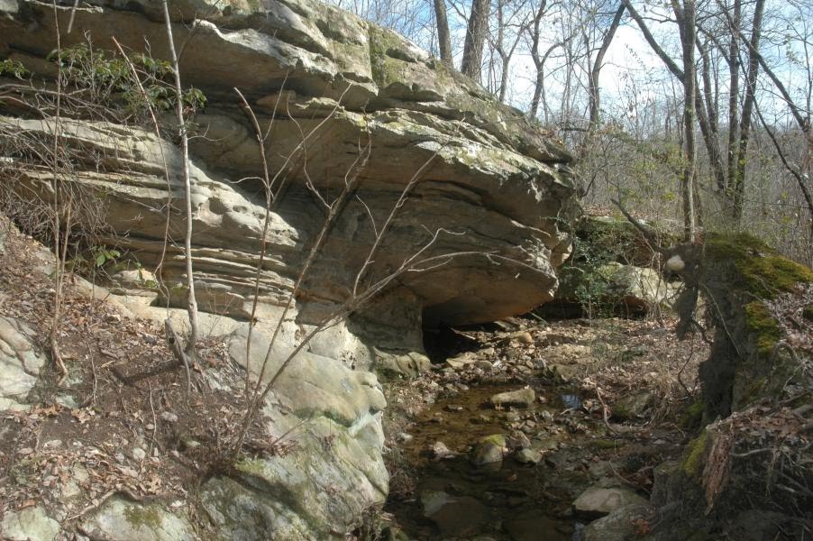 A wet weather Streambed