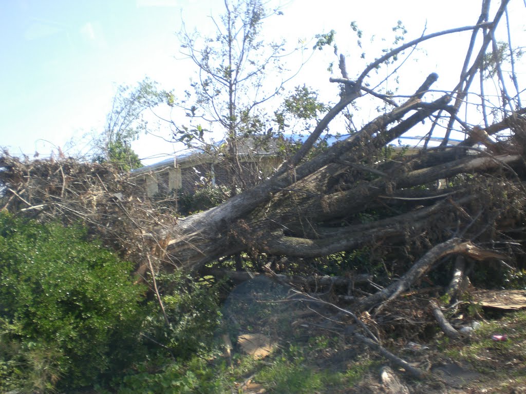 Alabama 2011