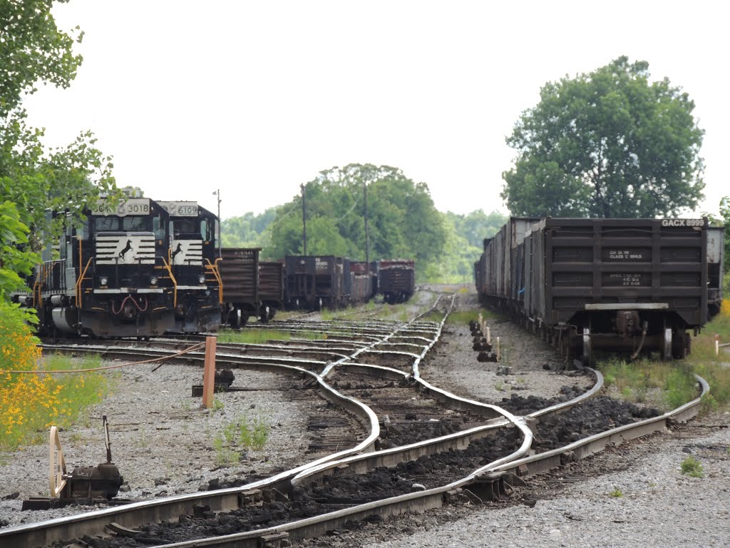 NS - Stabled Thoroughbreds