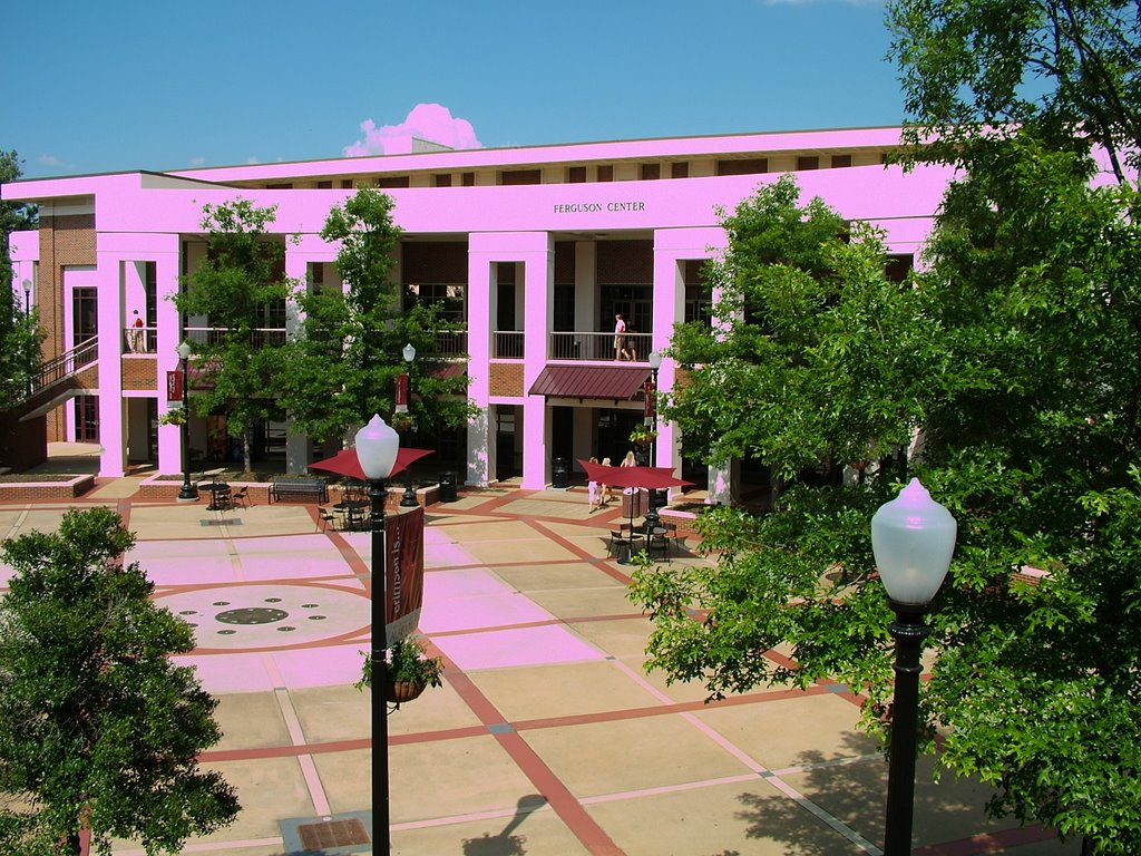 The Ferguson Student Center