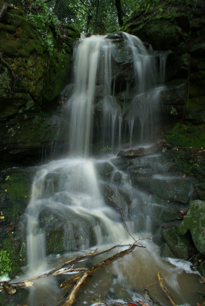 Clara Verner Falls