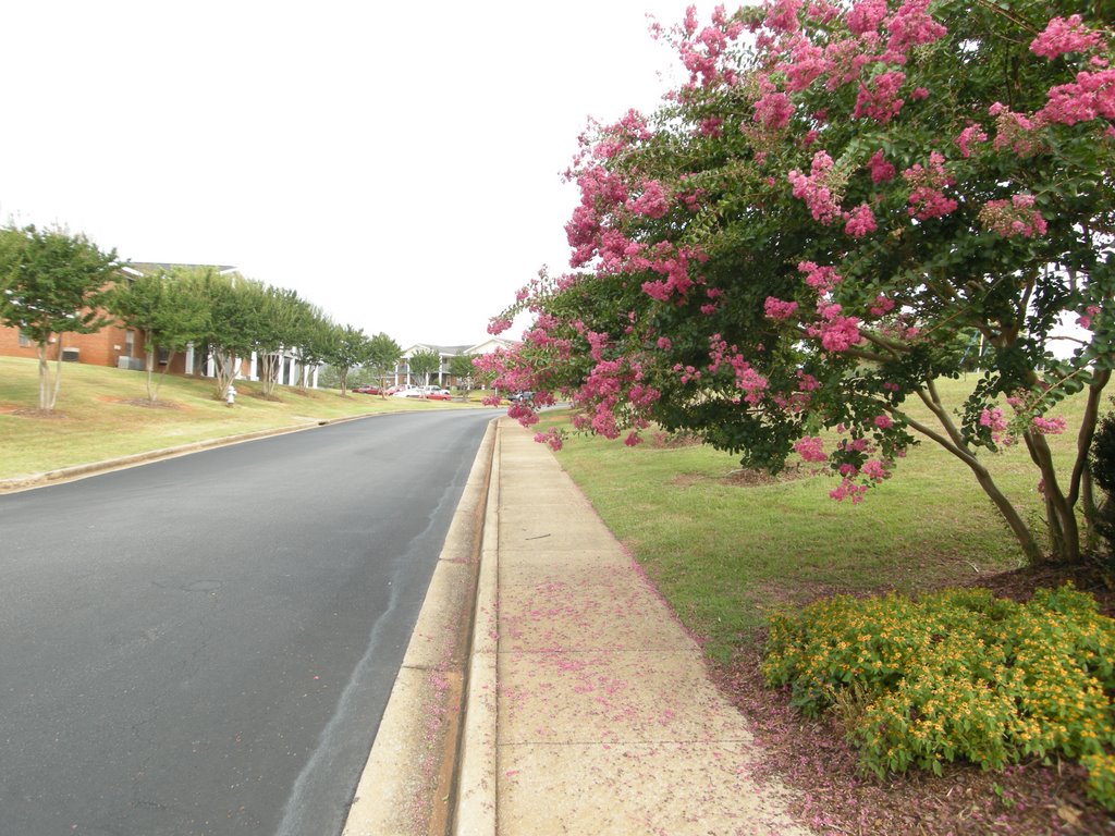 Northbrook Apartments, Tuscaloosa, AL