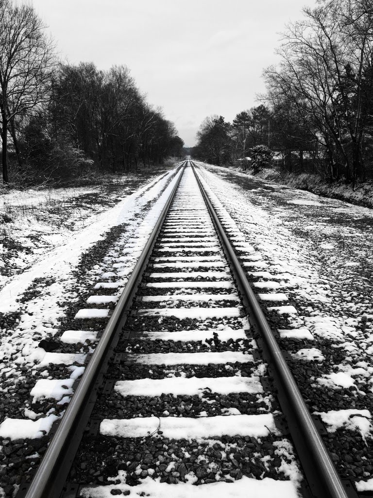 Snow Tracks