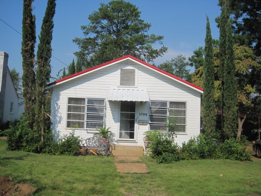 House With Red Roof