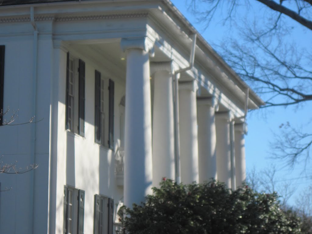 Ionic Columns at the University Club