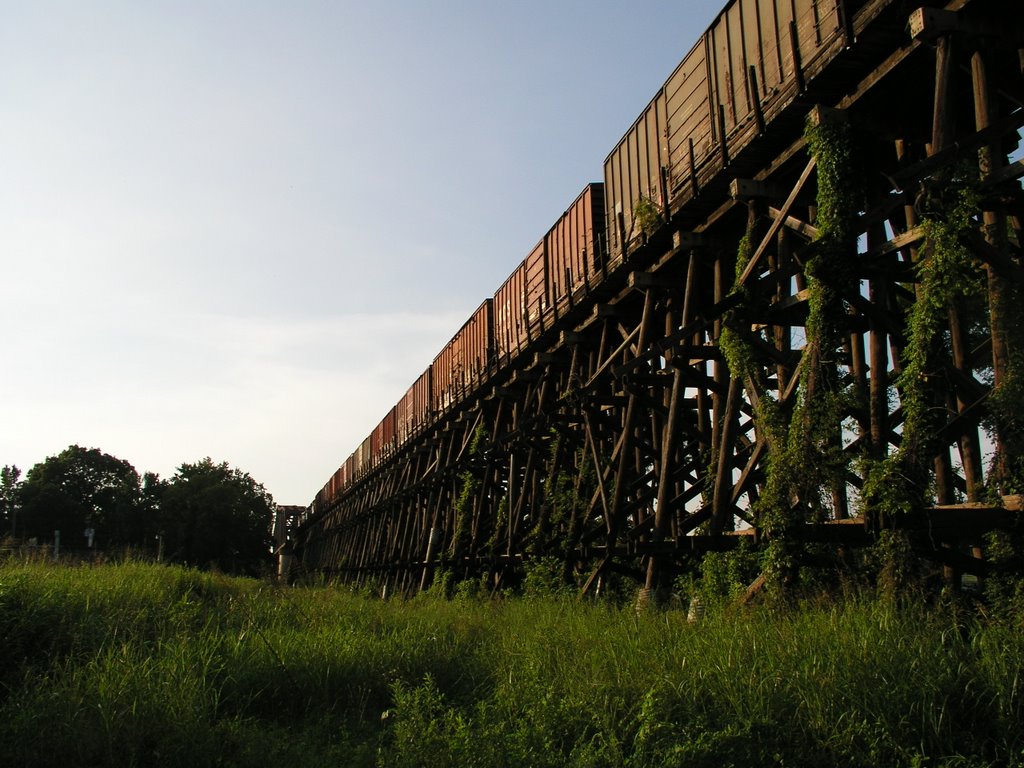 Bridge over the black warrior river.