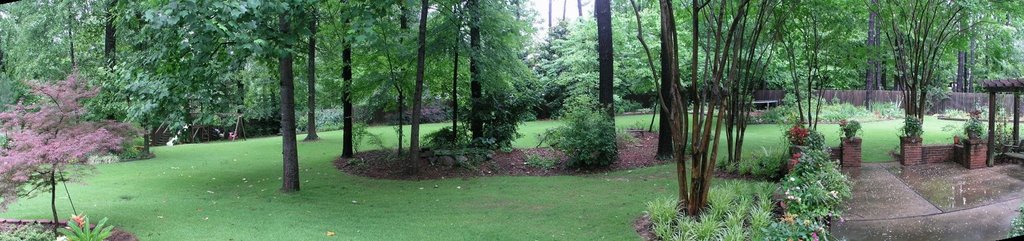 An Alabama backyard