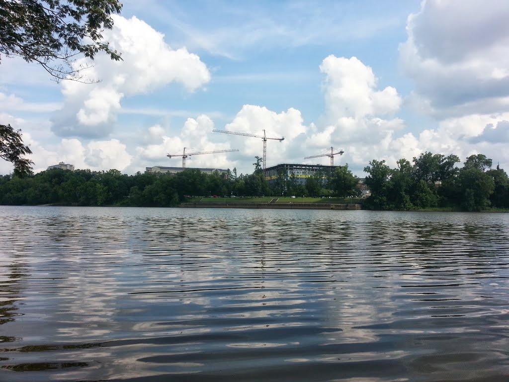 Black Warrior River