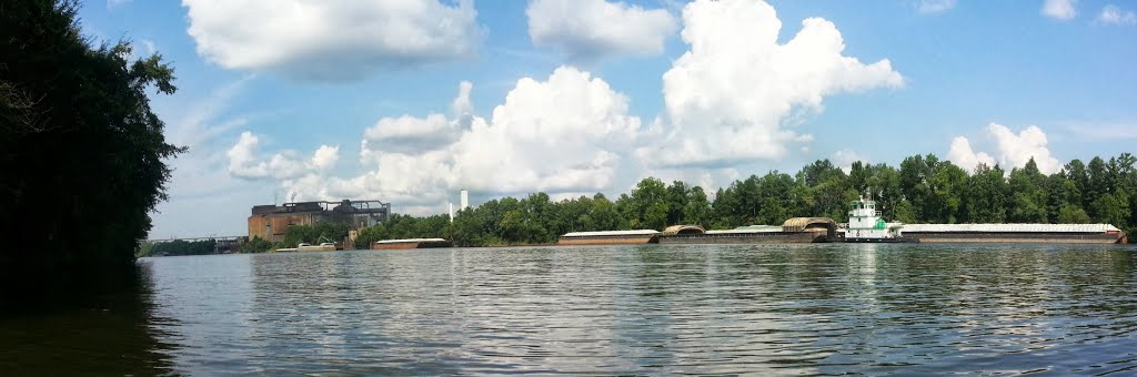 Black Warrior River