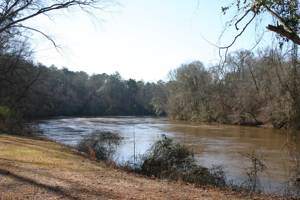 Overlooking the Tallapoosa River