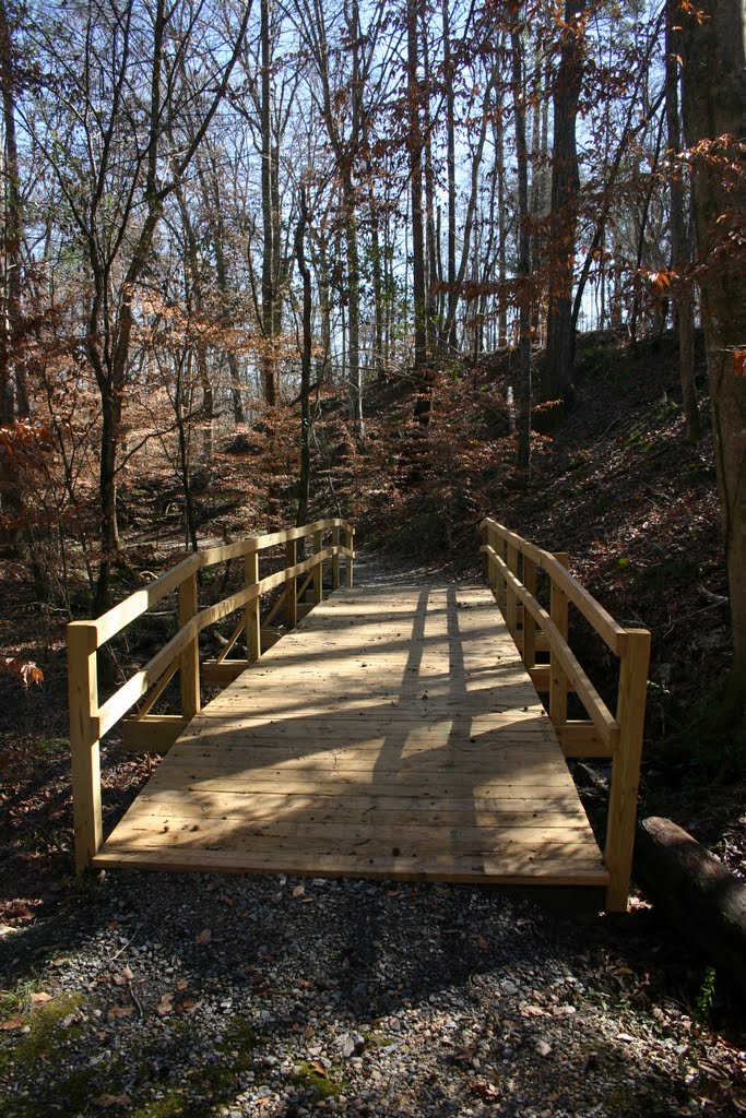 Bridge Along Nature Trail