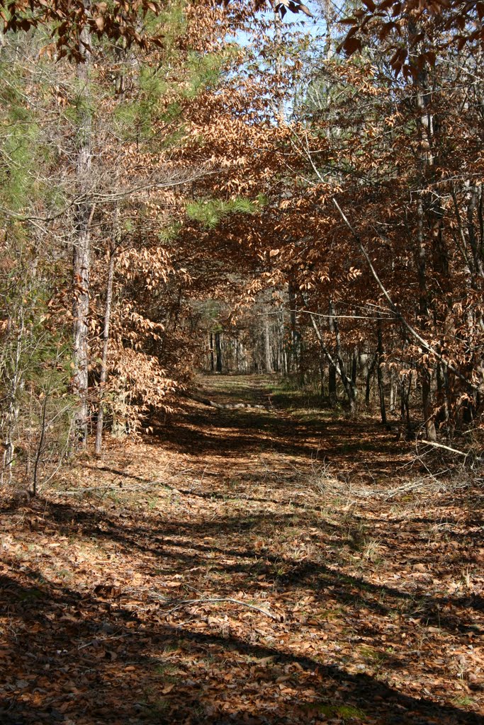 Nature Trail