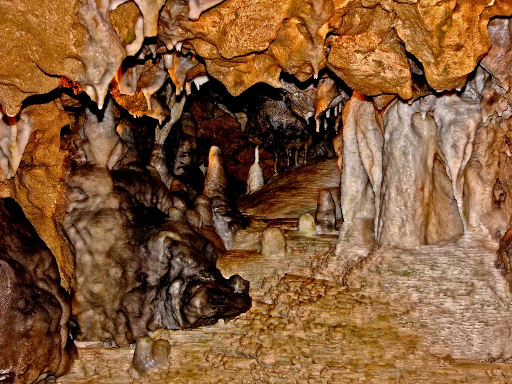 Florida Caverns #1