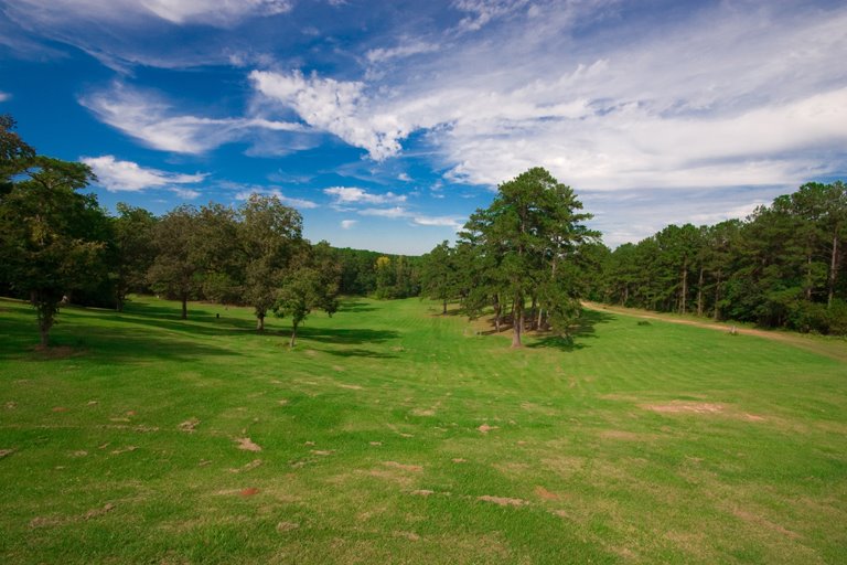 Field Near the Florida State Hospital