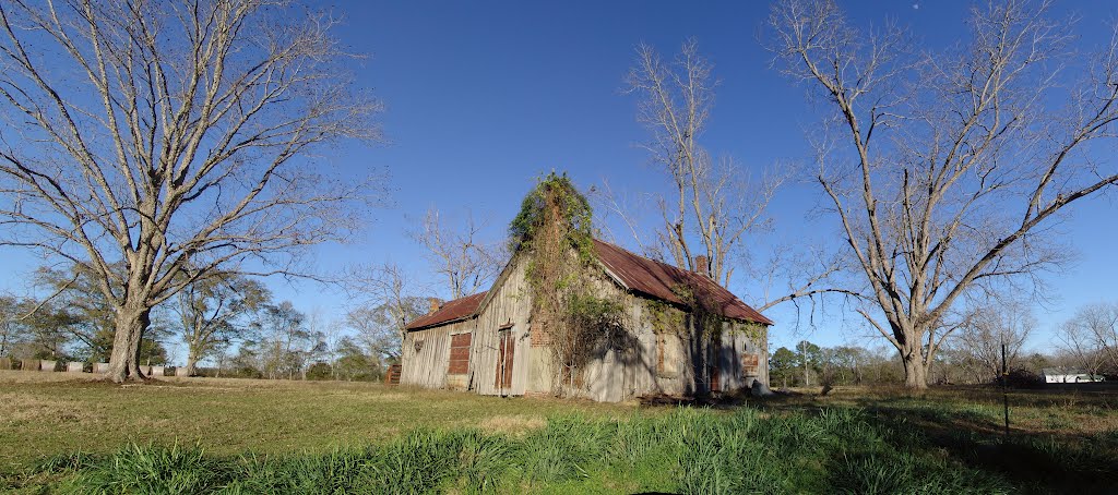 abandoned Cracker house, Noma Fla (1-2-2012)