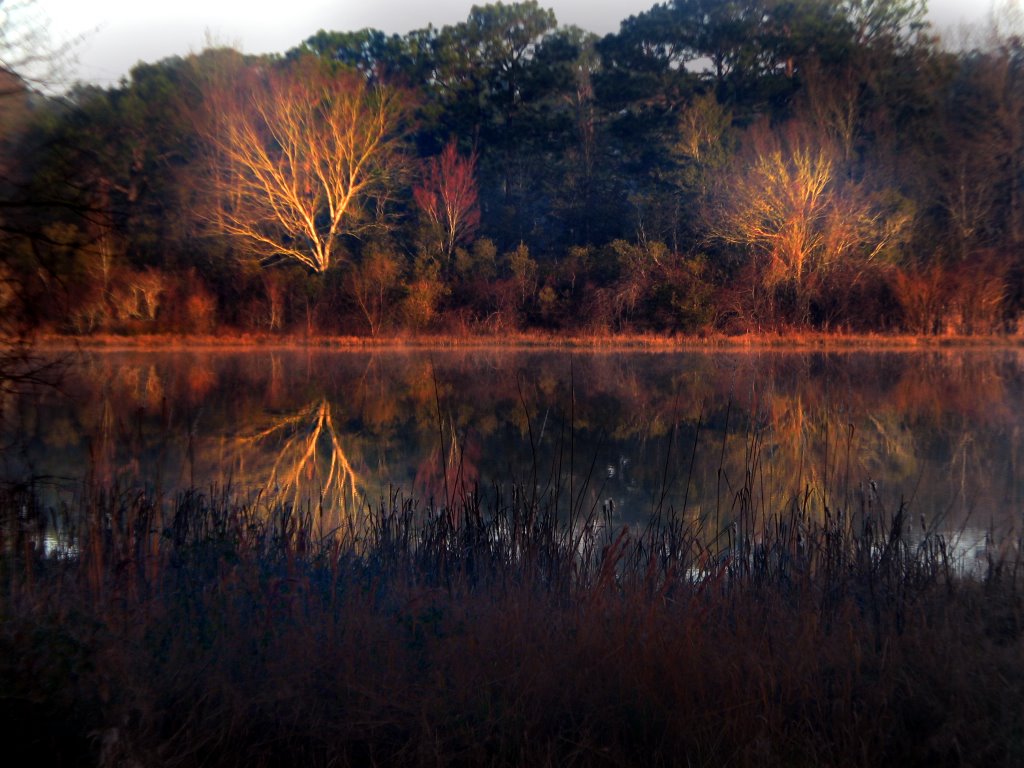 DAWN ON LAKE SEMINOLE