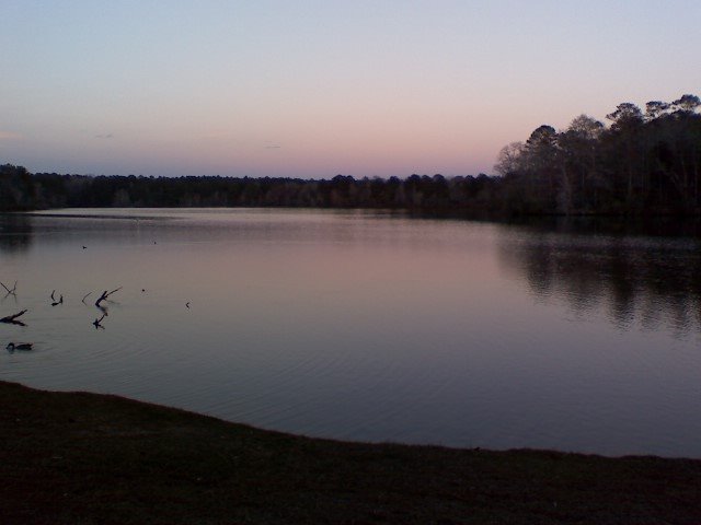 Dale County Lake