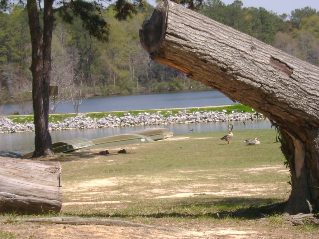 The lake again