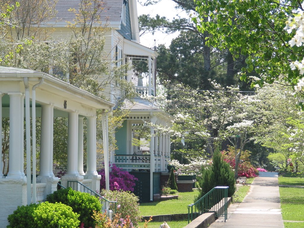 Opelika Spring Exuberance