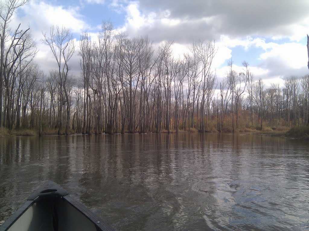 Big escambia creek