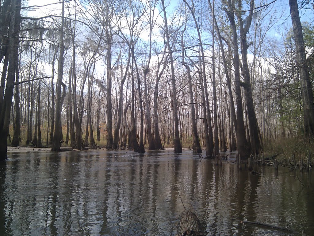 Big escambia creek