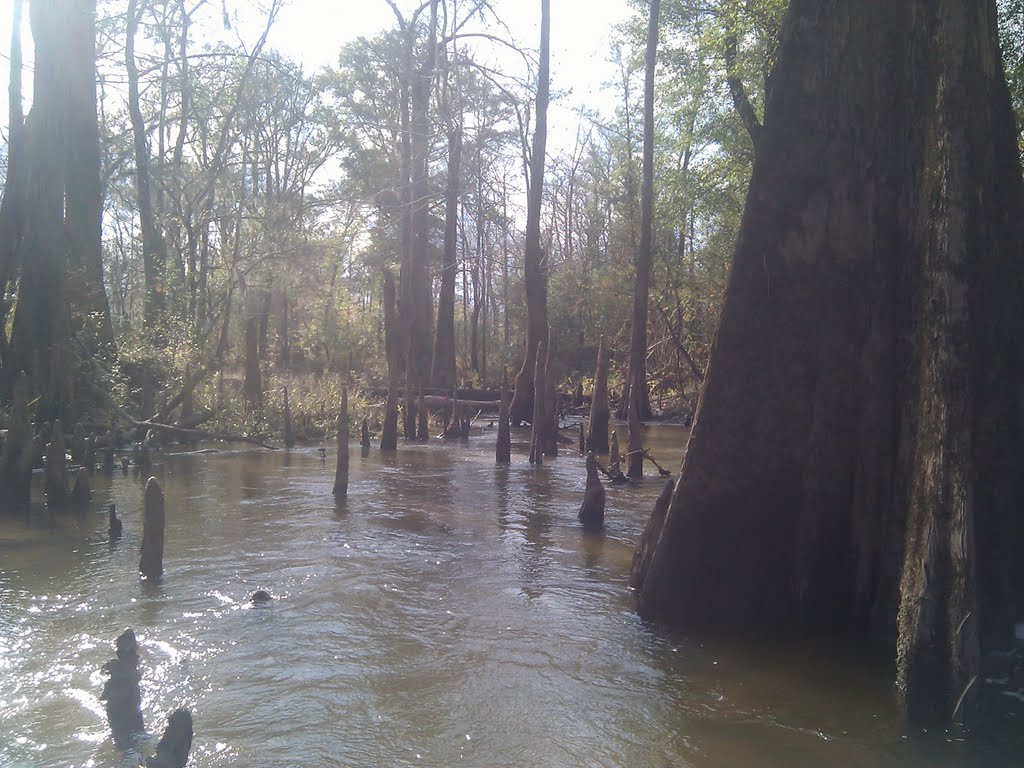 Big escambia creek