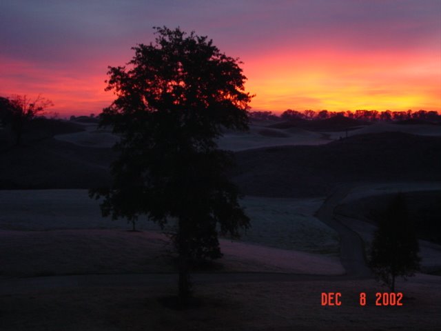 RTJ Golf in Prattville