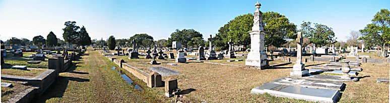 Magnolia Cemetary Panorama