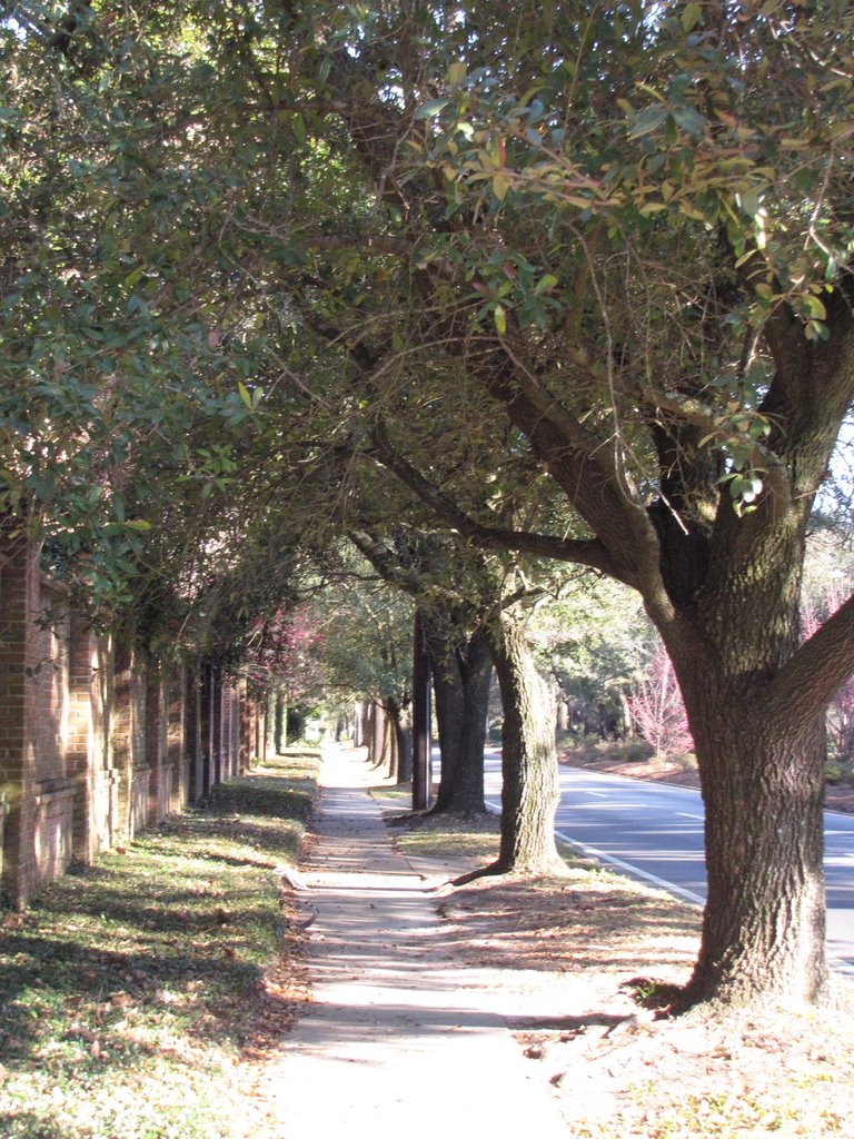 Old Street in Mobile, AL