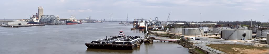 Mobile_river_north_view