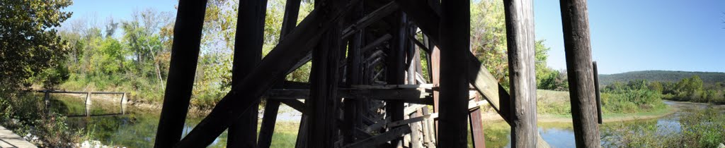 Under the Train Bridge Panoramic