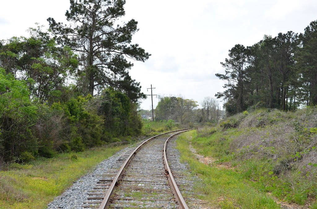 Three Notch Railroad