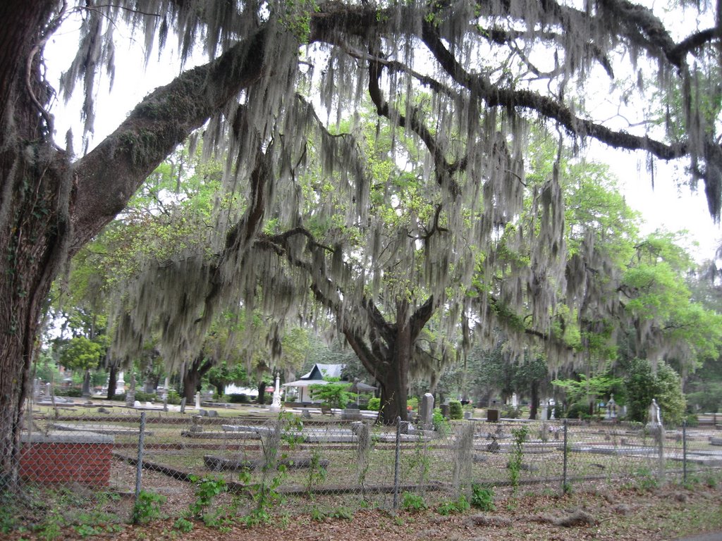 Selma, Alabama Cemetary 3